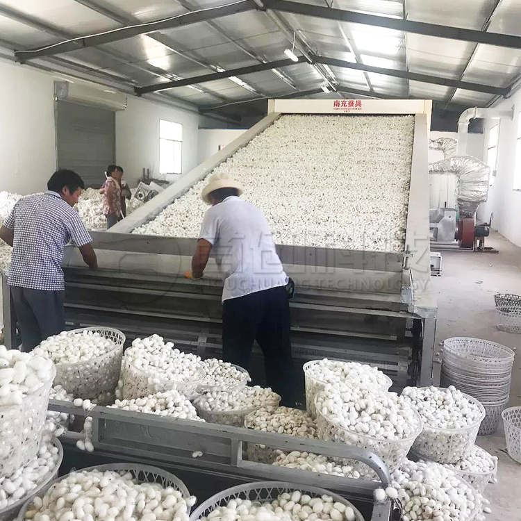 画板 1 拷贝 4 画板 1 拷贝 4