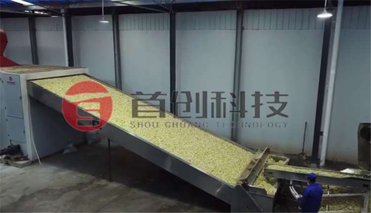 Fruit Residue Drying Equipment