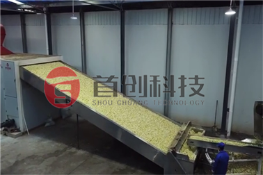 Pomace Drying Machine is efficiently Drying the Pomace