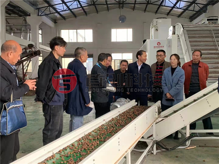 Camellia Fruit Drying Machine of Shouchuang Technology
