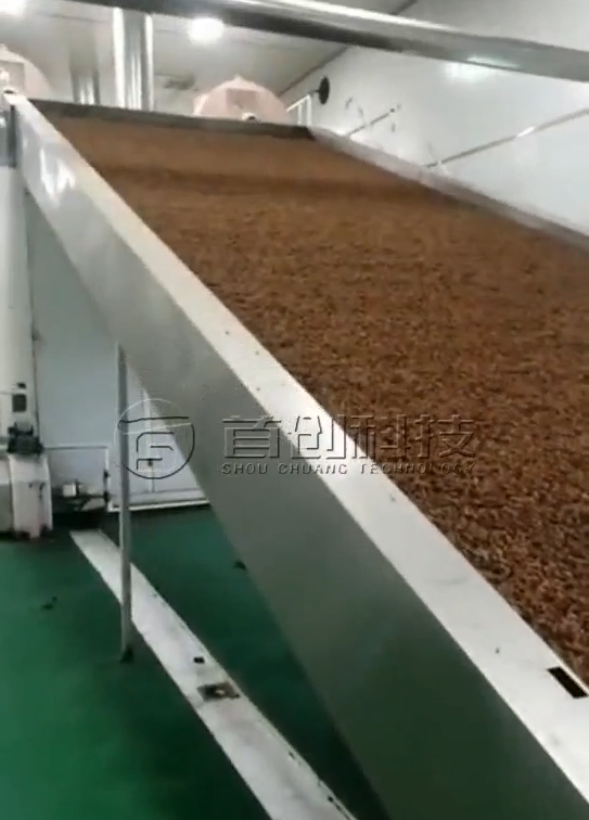 Grape cleaning and drying production line
