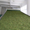 Medicine Herbs Grass Drying Machine