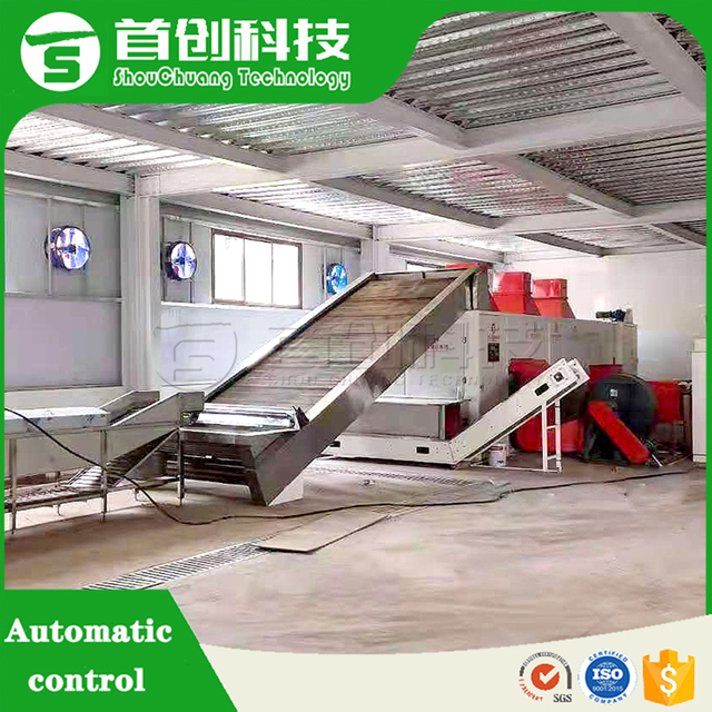 Banana Drying Machine