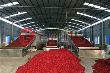 Spice Belt Drying Machine