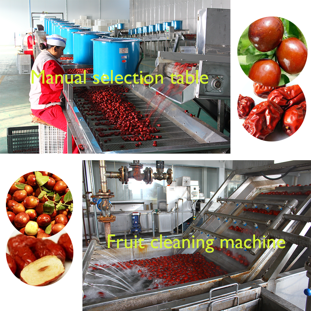 fruit cleaning machine