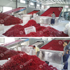 SC high-tech new patent machinery product for chilly dry teja chilies s17 red chili powder machine
