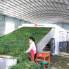 Rice Straw Drying Machine
