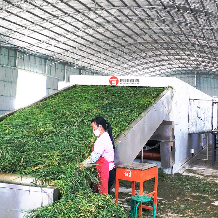 Rice Straw Drying Machine