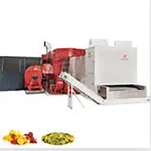 Vegetable Fruit Conveyor Belt Dryer