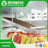 Pineapple Peel Drying Machine