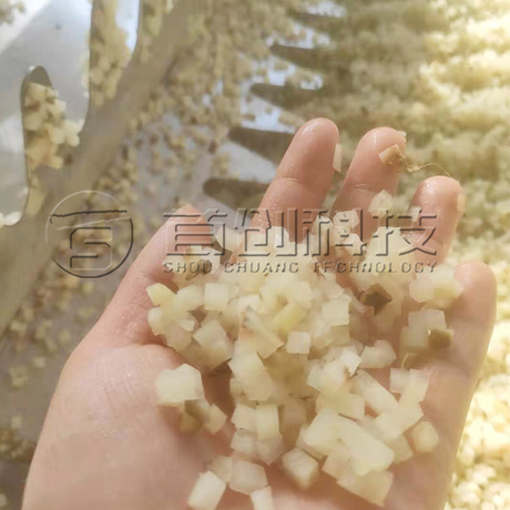 Apples Cubes Drying Machine
