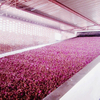 Rosehips Drying Machine