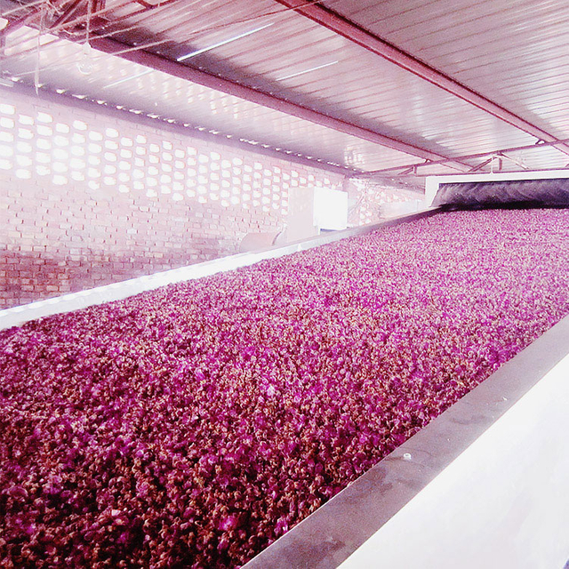 Rosehips Drying Machine