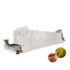 Drying fruit and vegetable processing equipment dryer home machine