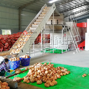 Porang Dryer Machine