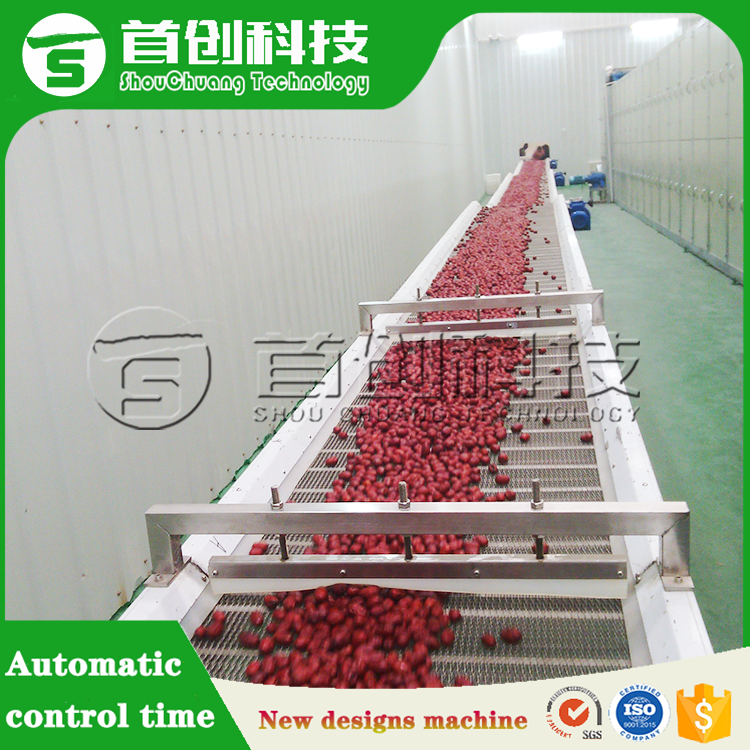 Dates Drying Machine