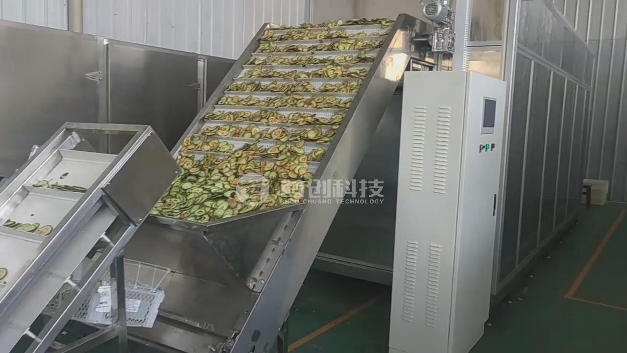 Avocado drying equipment