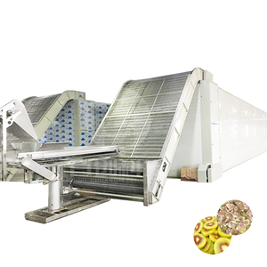 Hot Air Mesh Belt System Large Drying Production Line