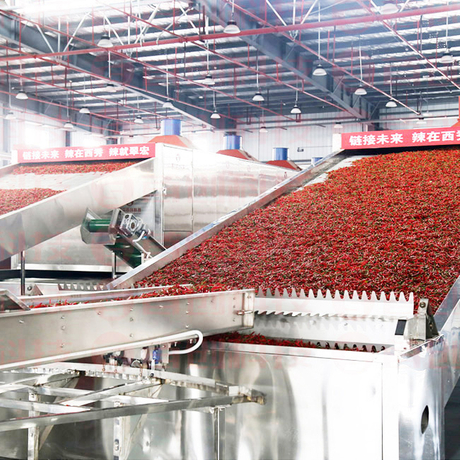 Chillies Spice Drying Equipment