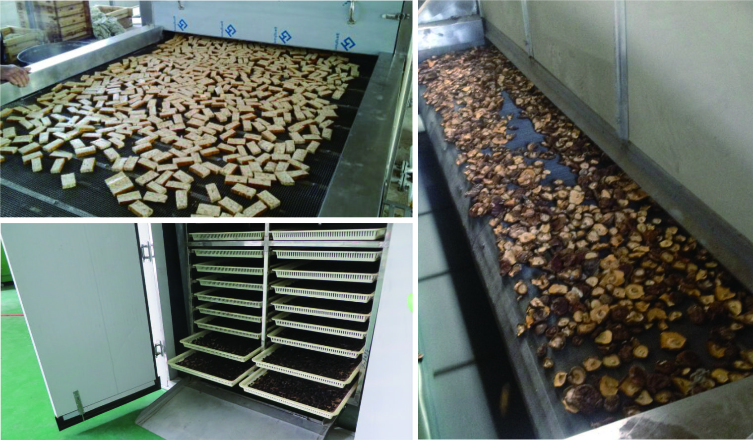 convenient dried fruit food bean drying machine