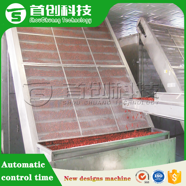 Dates Mesh Belt Dryer Machine