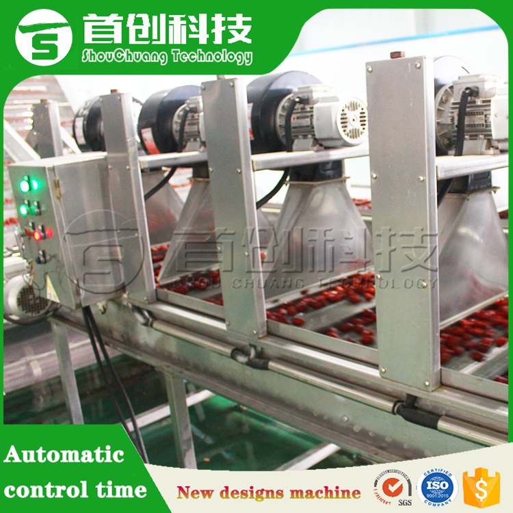 Dates Mesh Belt Dryer Machine