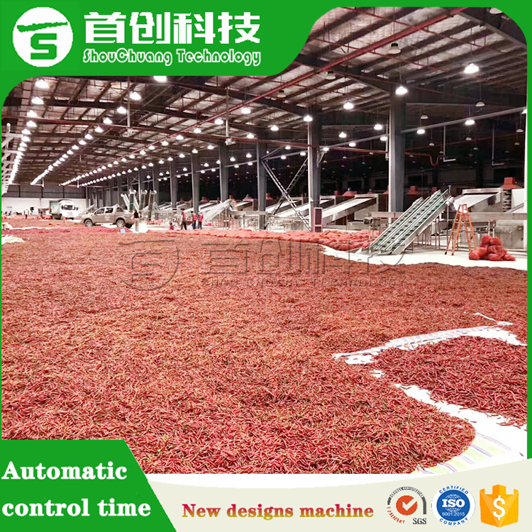 Paprikas Drying Machine