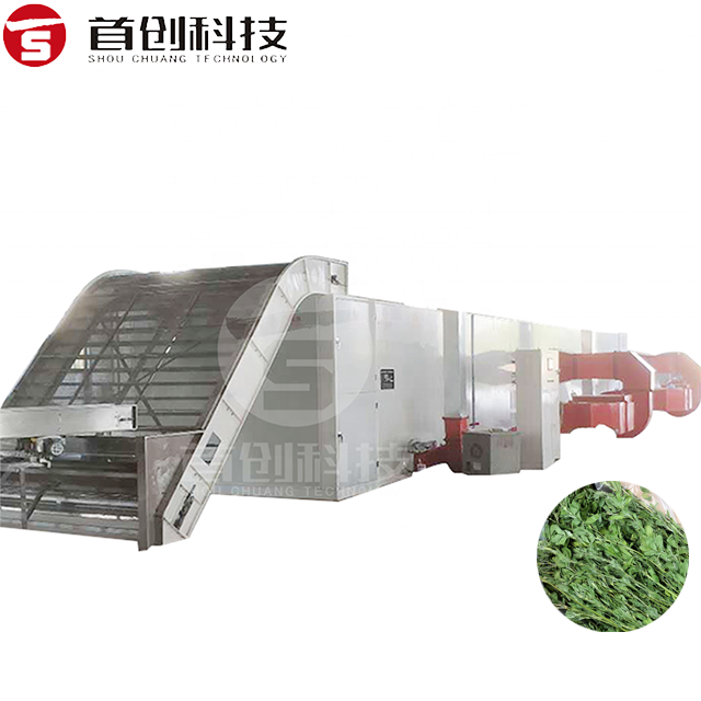 Red Dates Mesh Belt Dryer