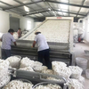 Cocoon Drying Equipment