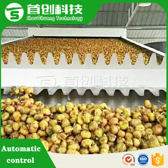 Plums-prune Drying Machine