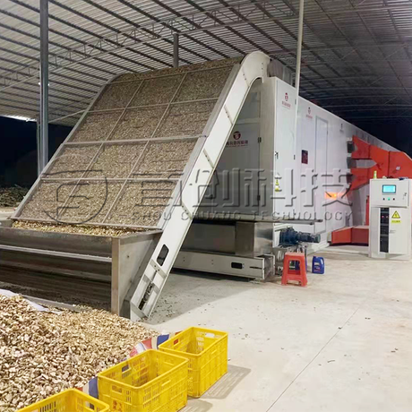 Ginger Drying Machine