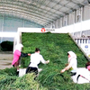 Rice Straw Drying Machine