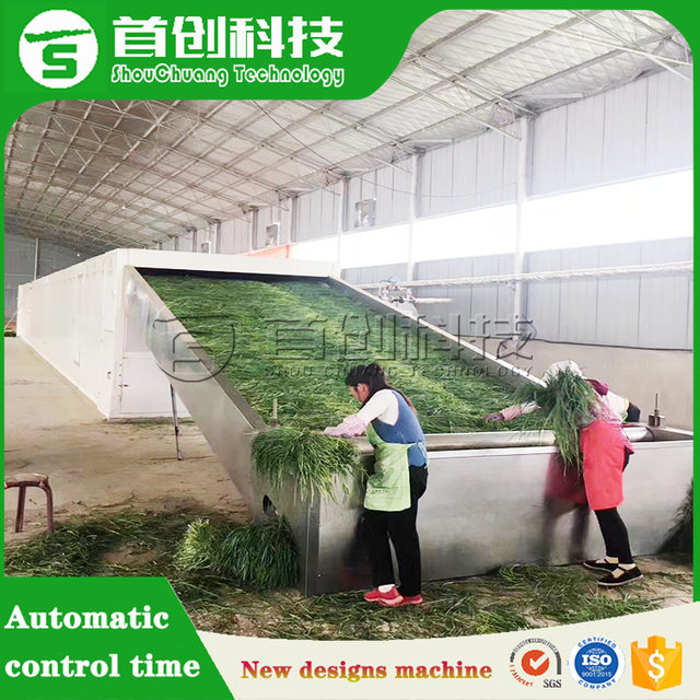 Myrcia Drying Machine