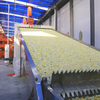 Sugar Beet Residue Drying Machine