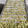 Avocado Slice Drying Machine