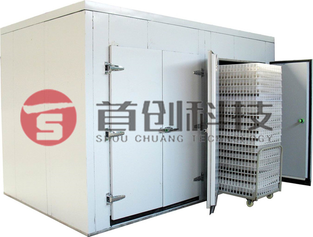Mulberry Dryer