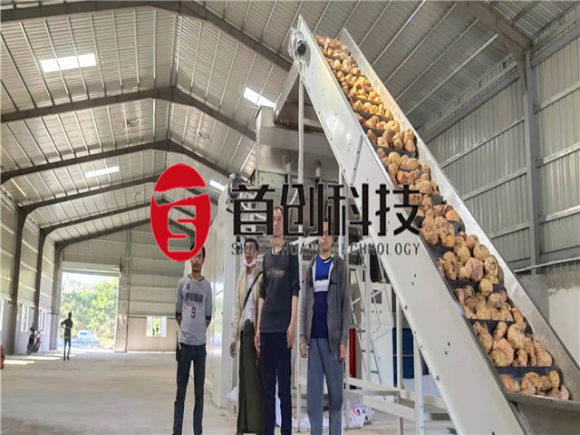 Porang Drying Machine