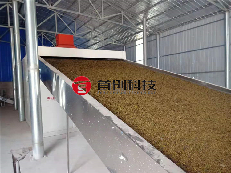 automatic dryer for traditional Chinese medicine