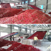 SC high-tech new patent machinery product for chilly dry teja chilies s17 red chili powder machine