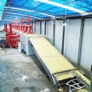 Orange Pomace Drying Machine