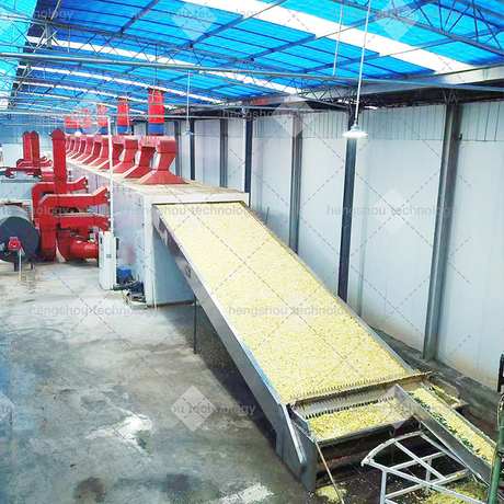 Orange Pomace Drying Machine