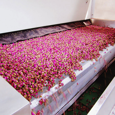Rose Petals Drying Machine