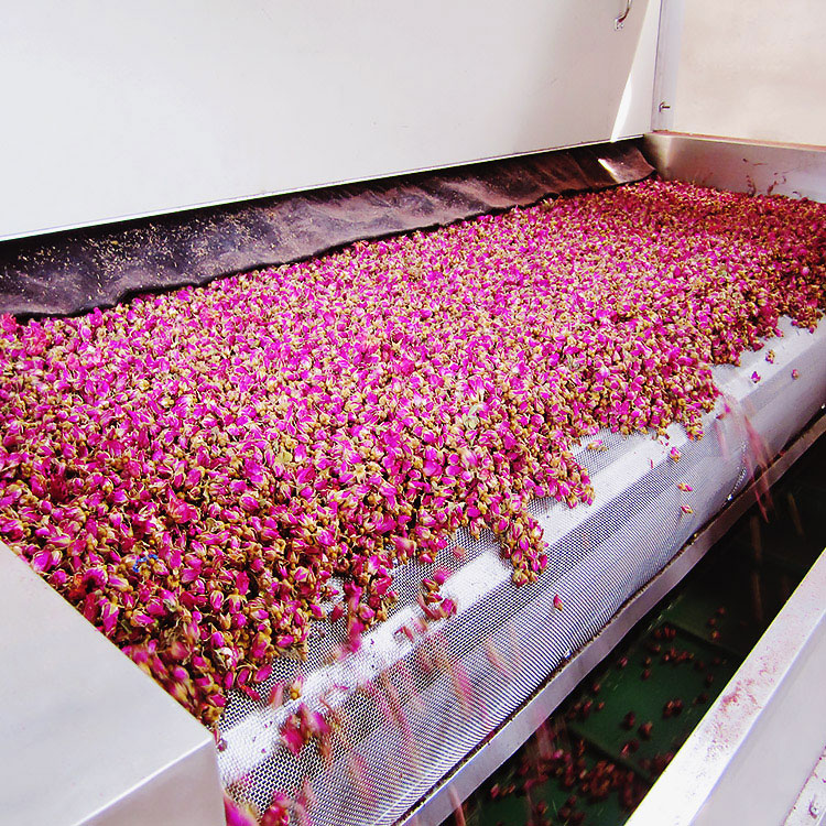 Rosehips Drying Machine
