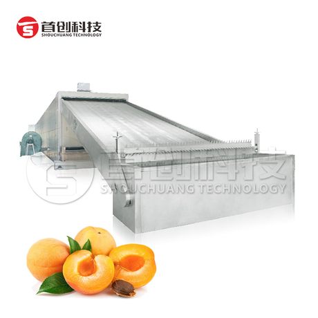 Kiwi Slice Drying Machine