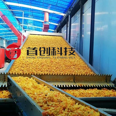 Radish Dehydrator Machine